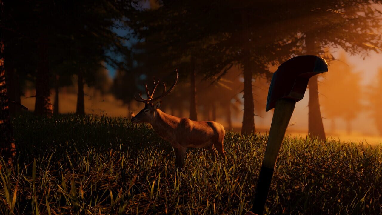 Singularity