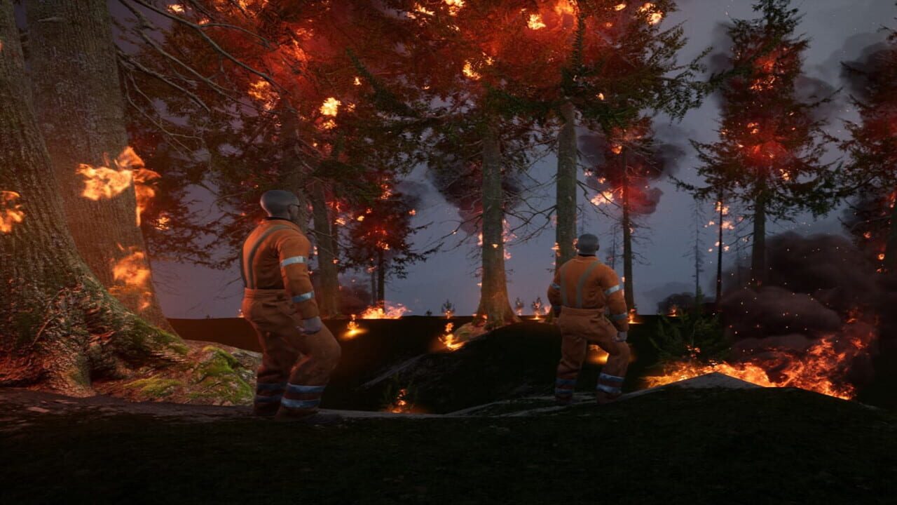 Wildland: Initial Attack
