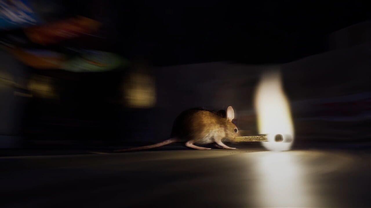 About a Mouse