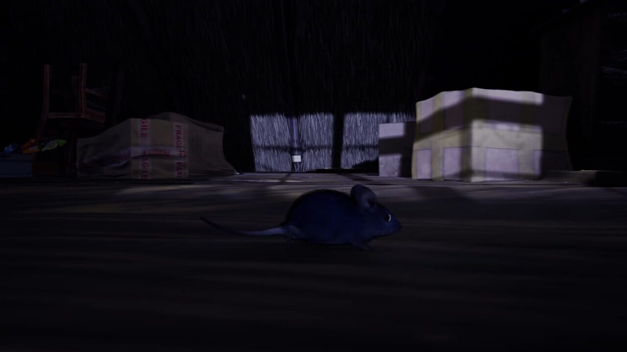 About a Mouse