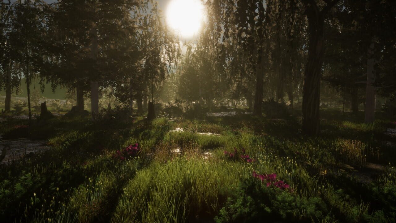 The Quinfall screenshot