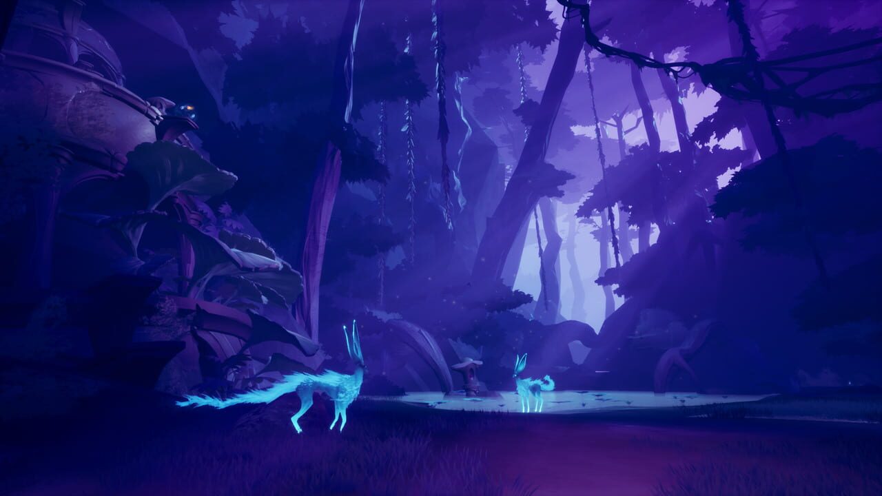 Capture de Strayed Lights