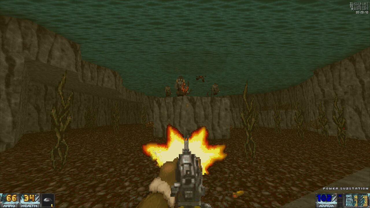 Operation Sea Wolf