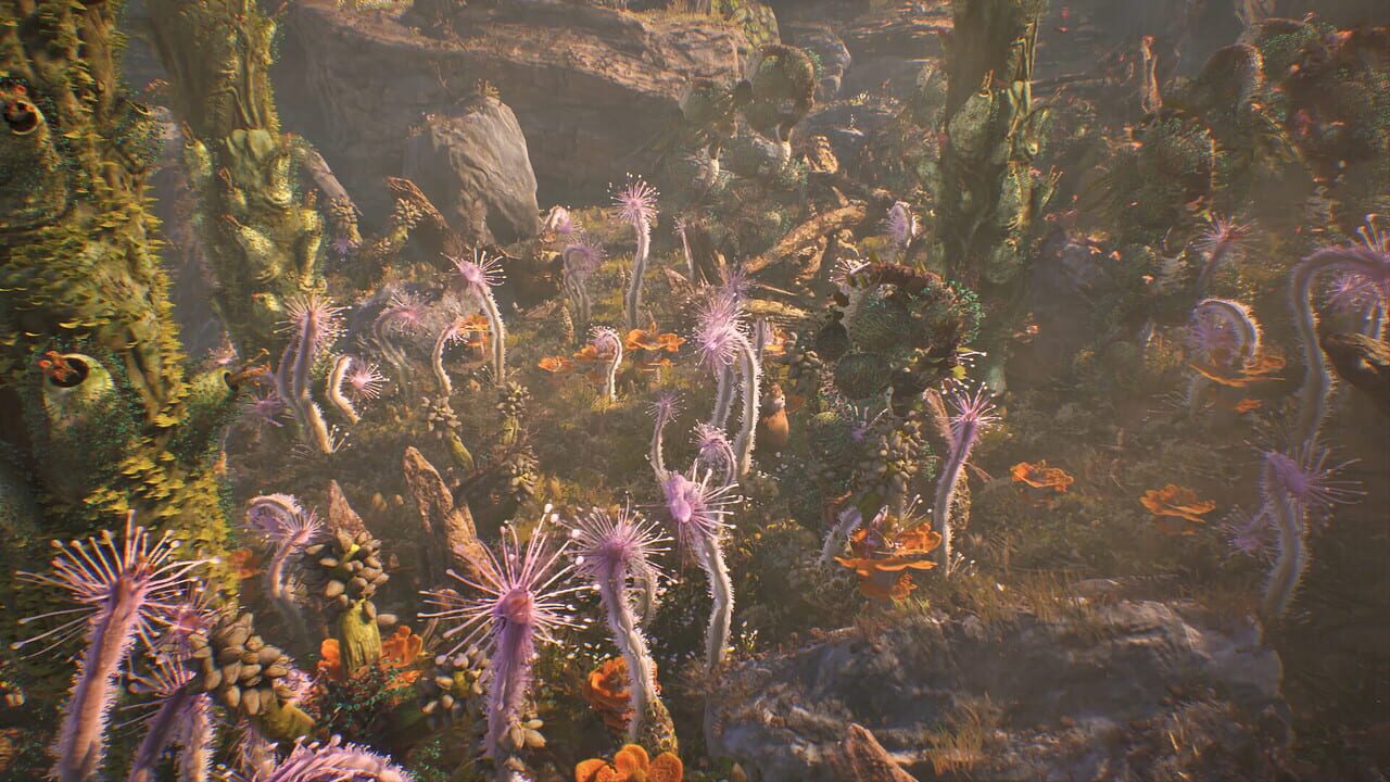 Capture de Towers of Aghasba