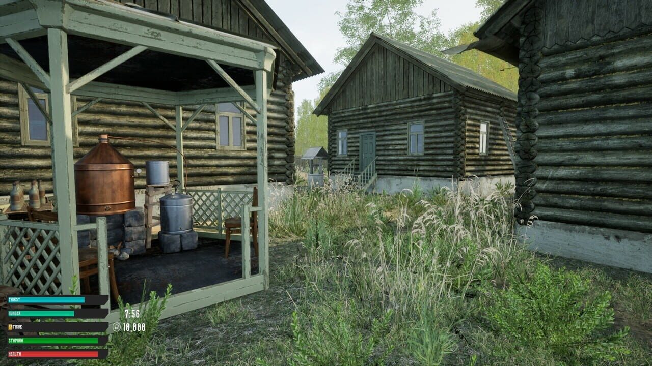 Capture de Russian Village Simulator