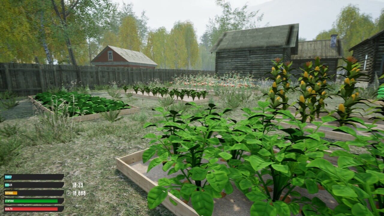Capture de Russian Village Simulator