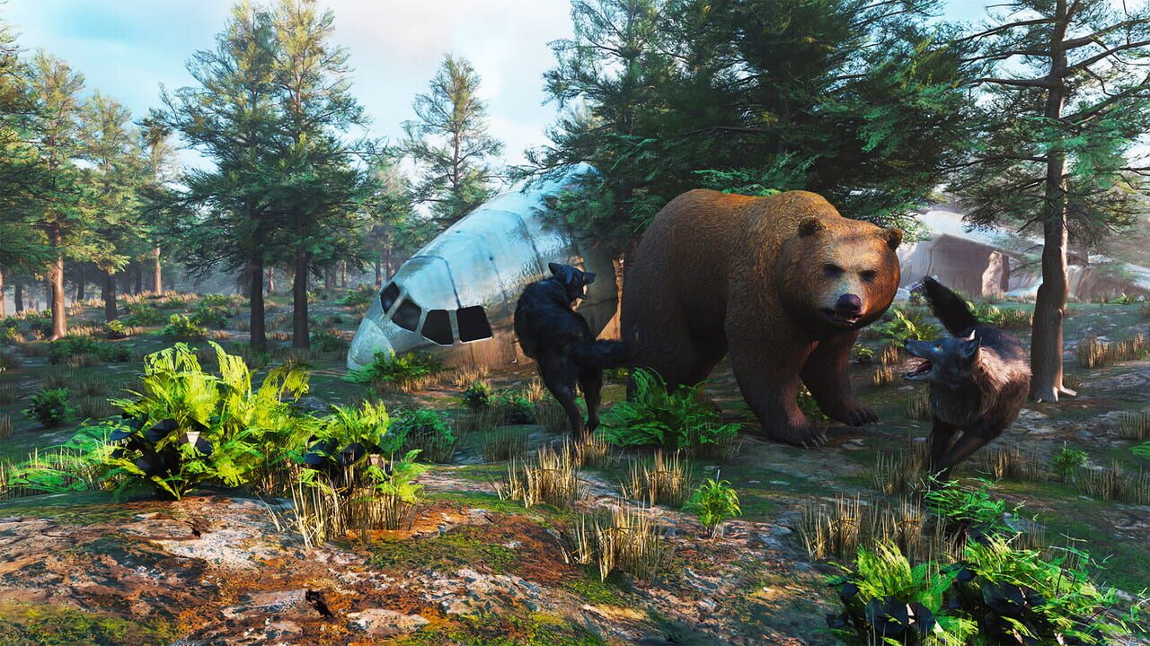 Wolf Simulator