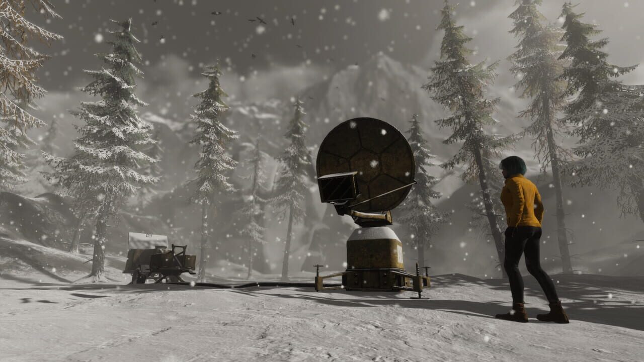 Under the Snow