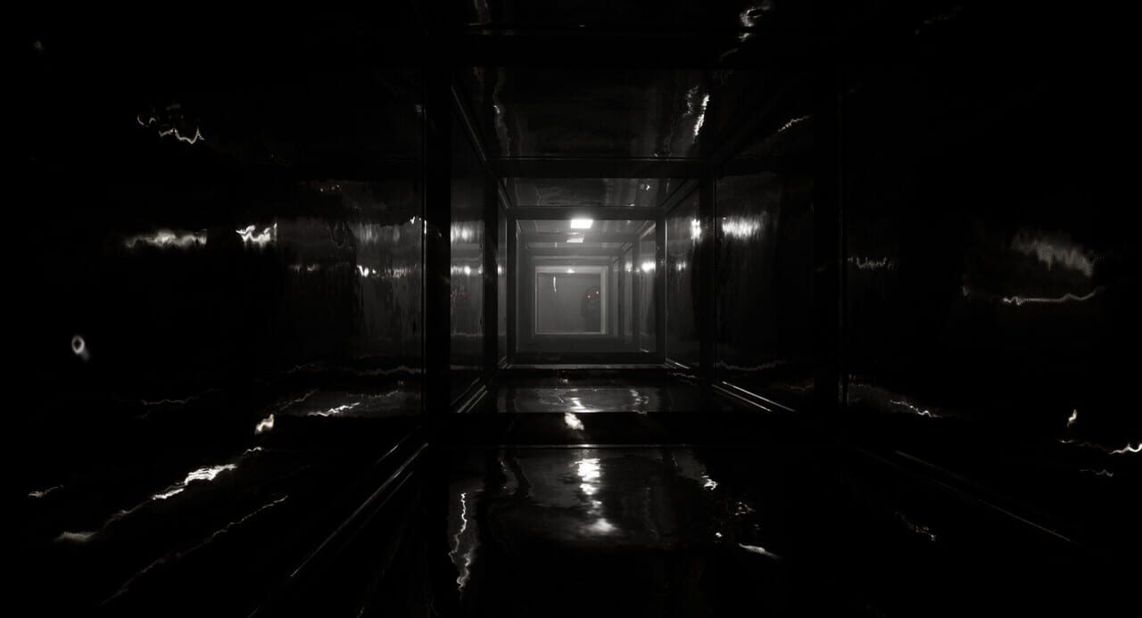 Chester: Into The Darkness