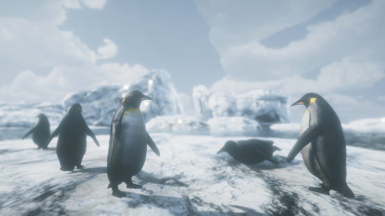 Wildlands
