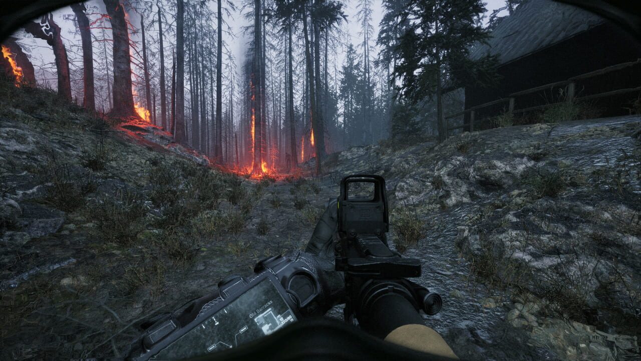 Capture de Beautiful Light