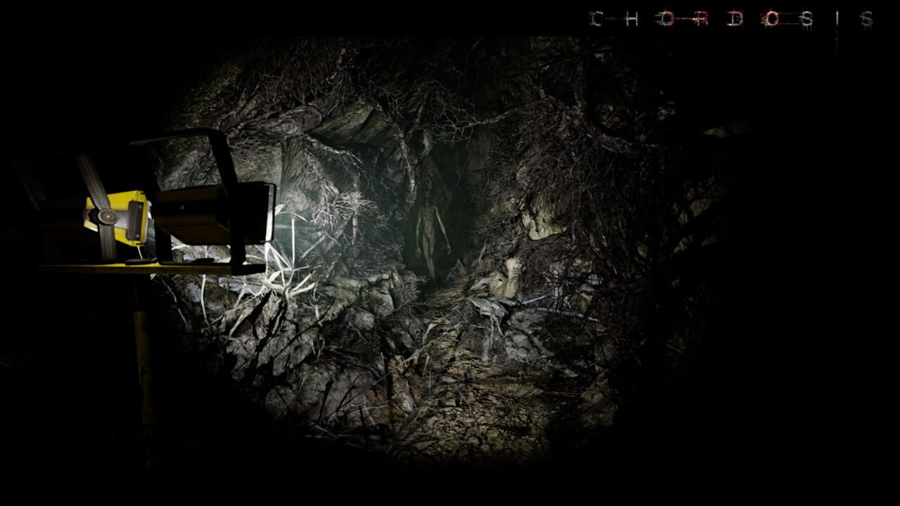 Capture de Chordosis