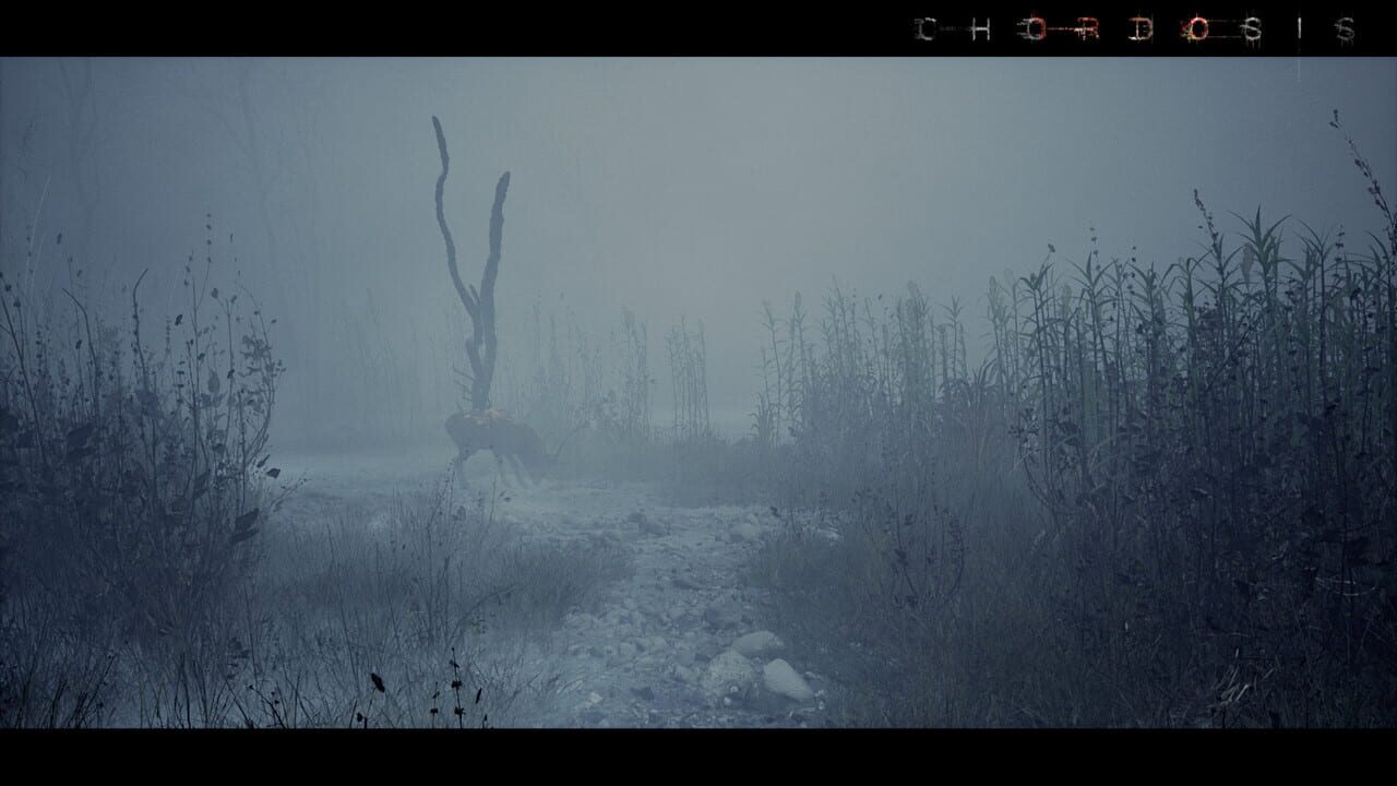 Capture de Chordosis