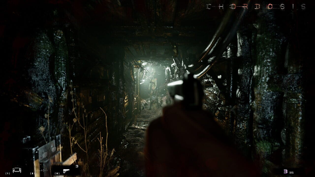 Capture de Chordosis