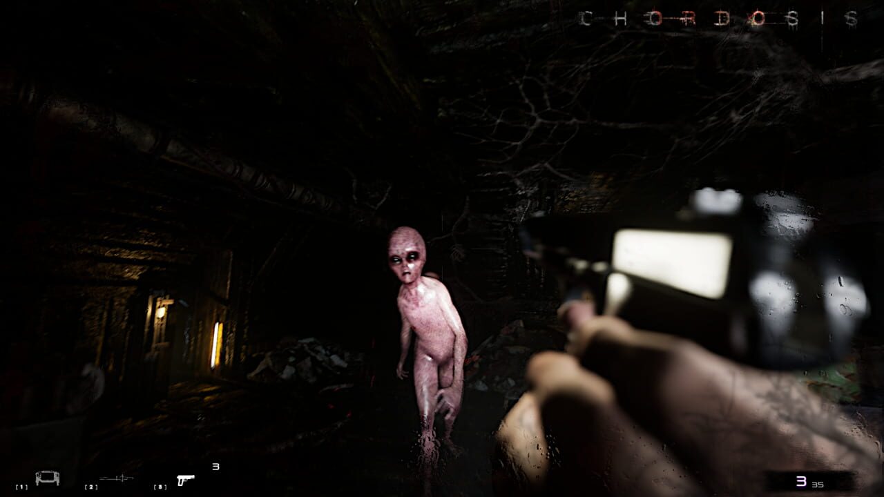 Capture de Chordosis