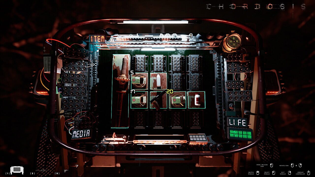 Capture de Chordosis