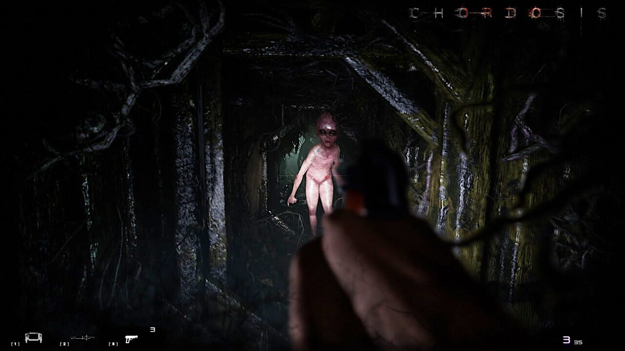 Capture de Chordosis