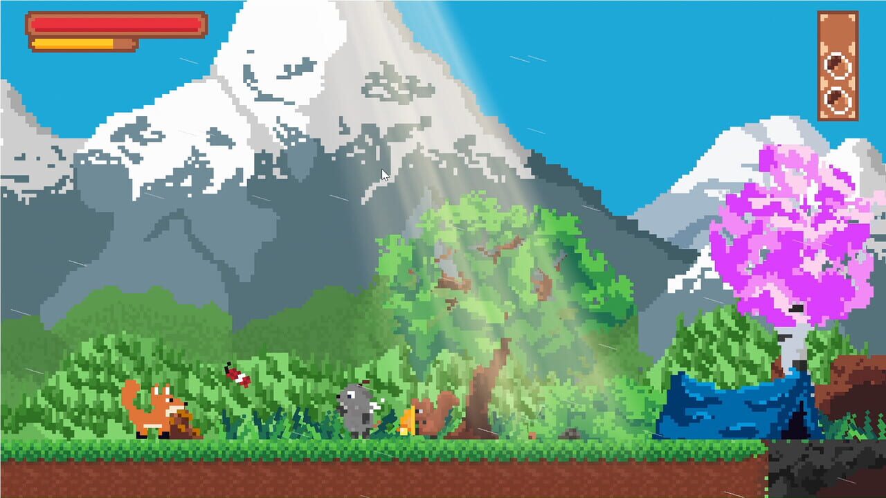 Boki: The Summit
