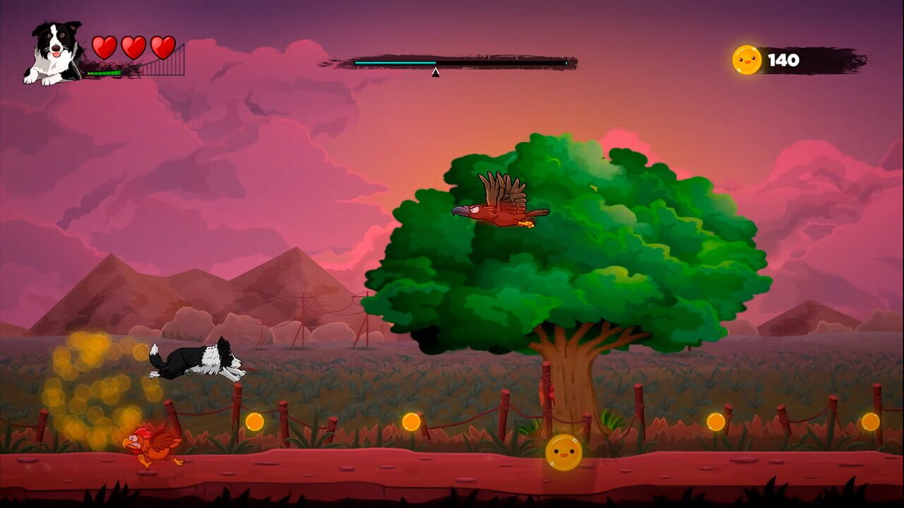 Shade: A Dog's Expedition
