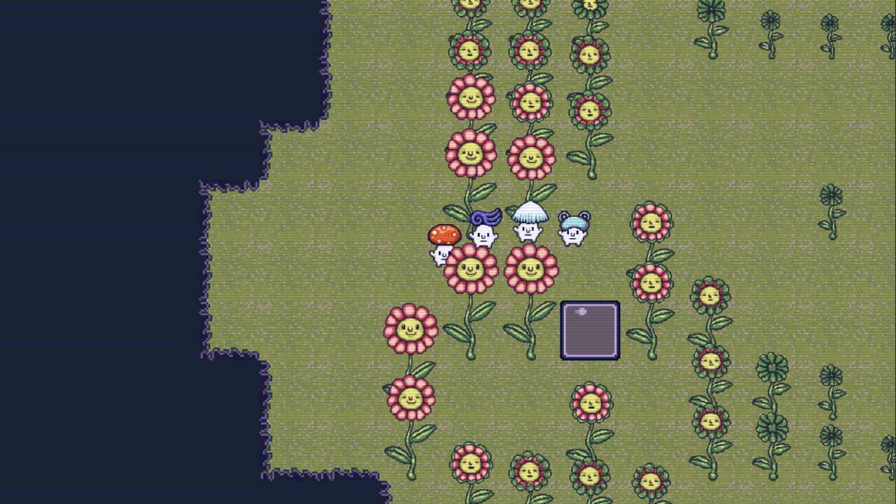 Mushroom Collection