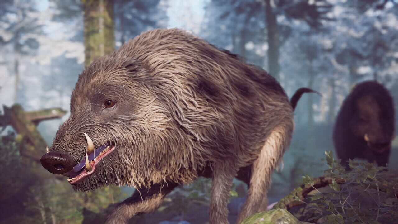 Capture de Winter Survival