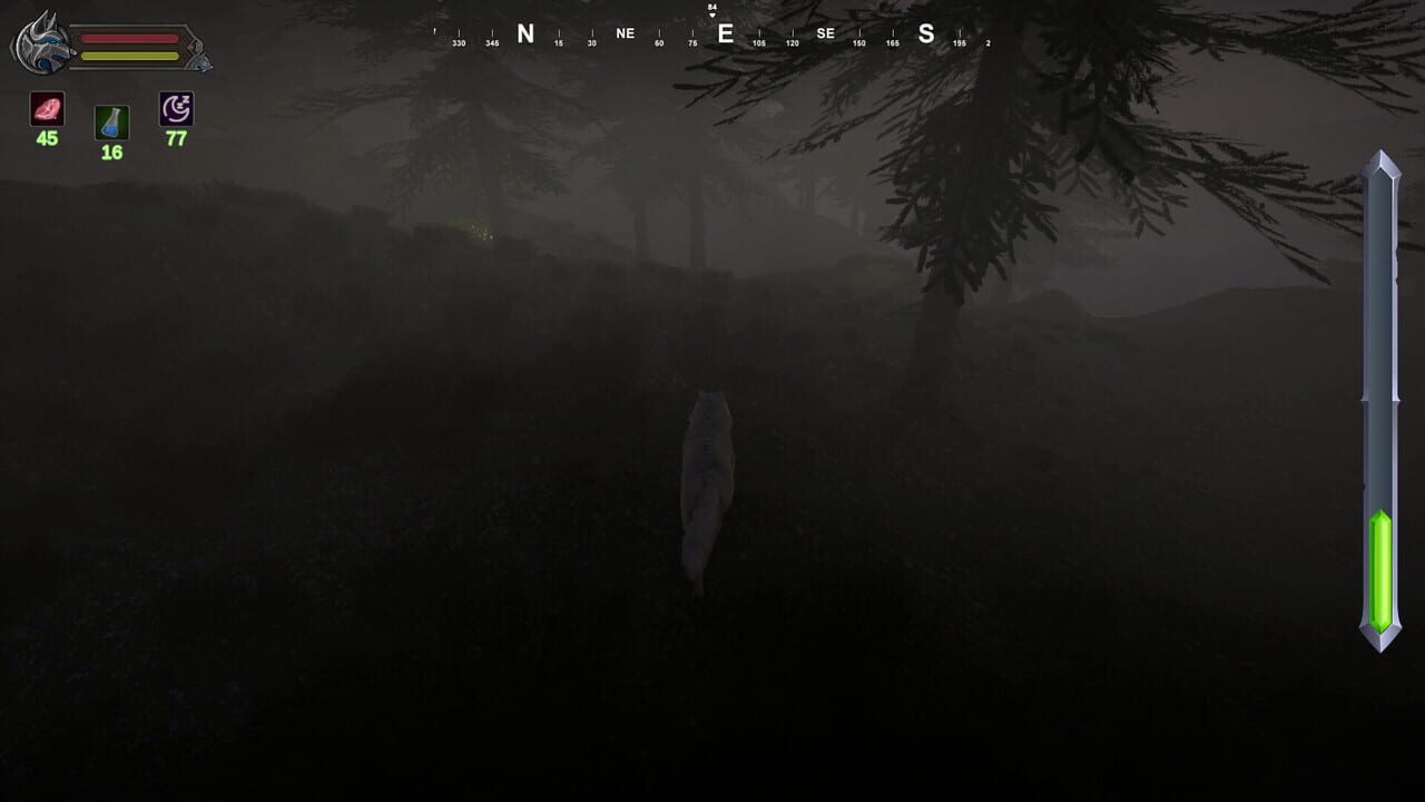 Leader of the Pack
