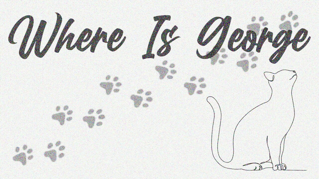 Where Is George