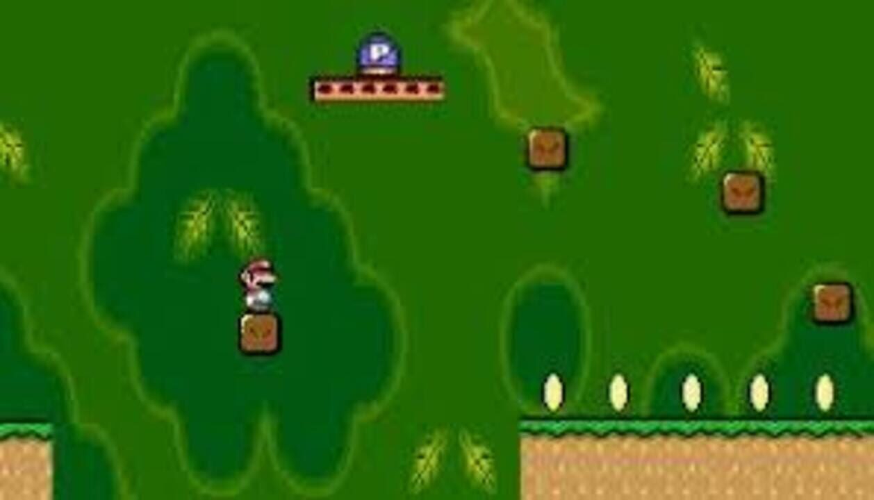 Mario Starcatcher 2