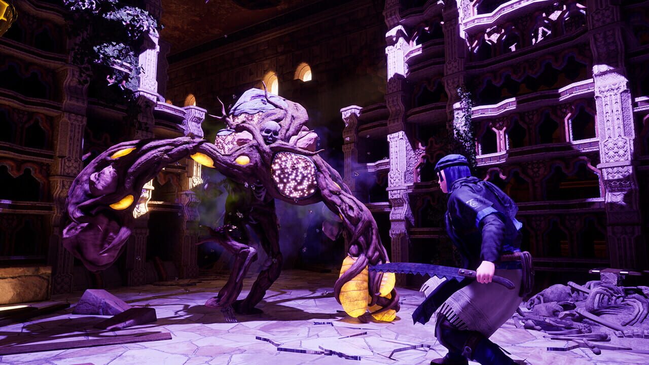 Capture de Outward 2