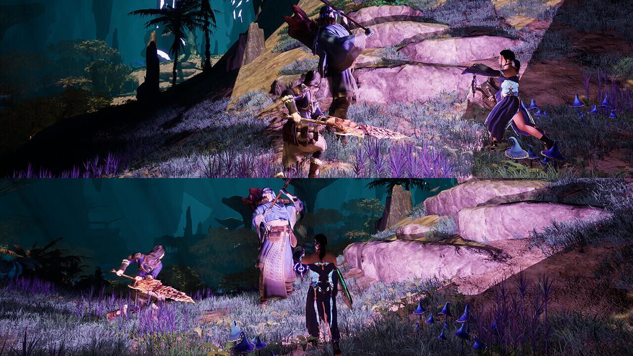 Capture de Outward 2