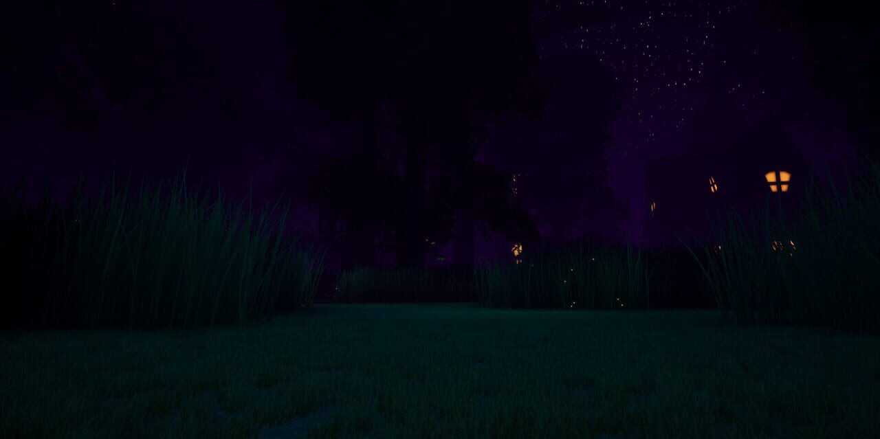 Sleep Terror