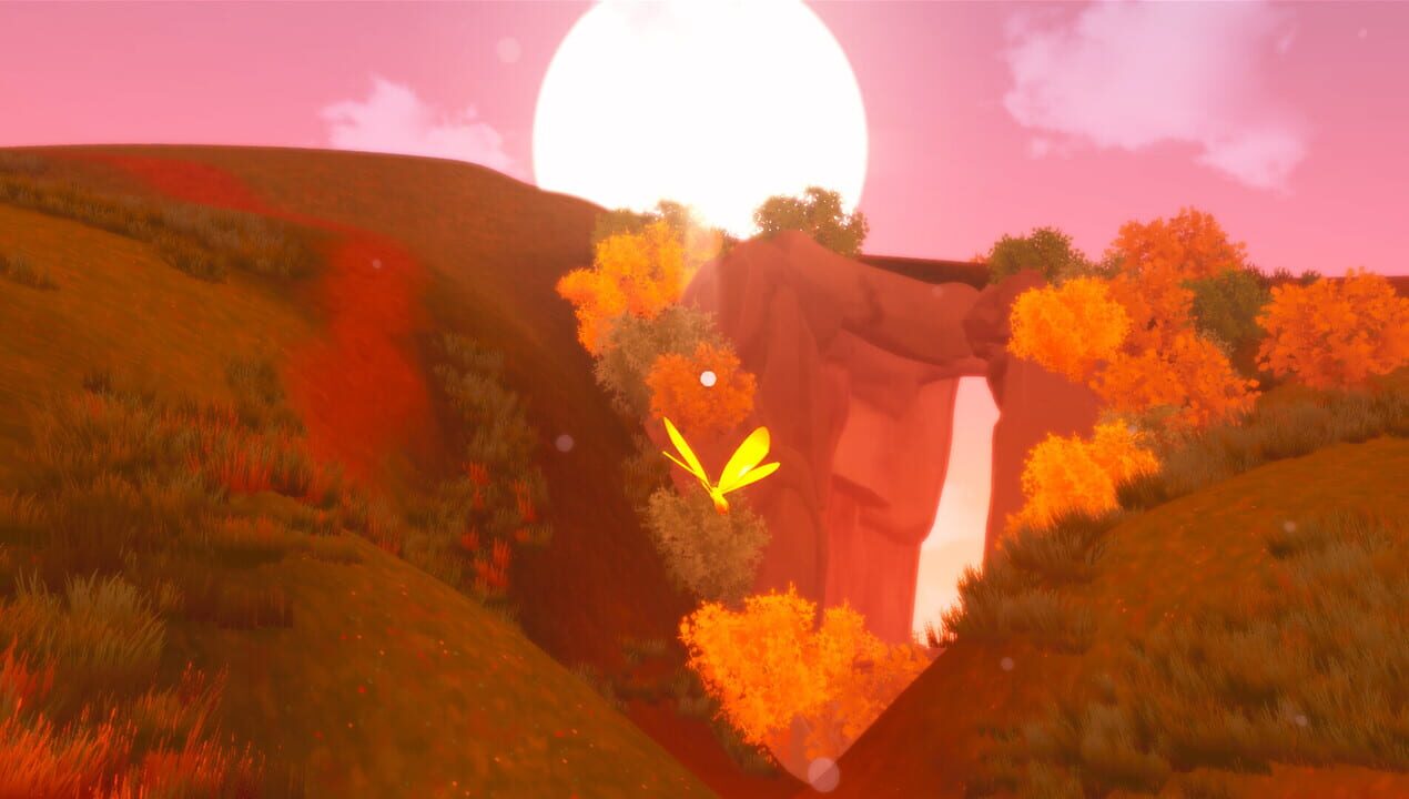 Butterfly Simulator