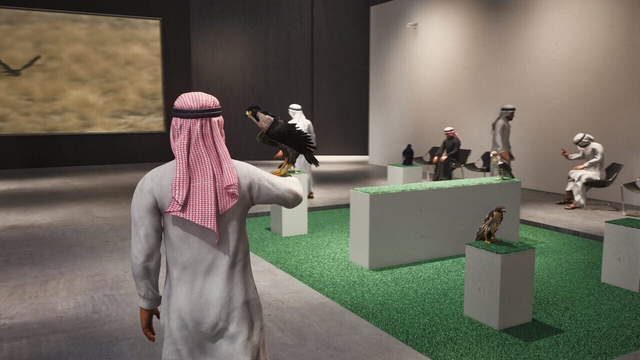 Enter Falconry