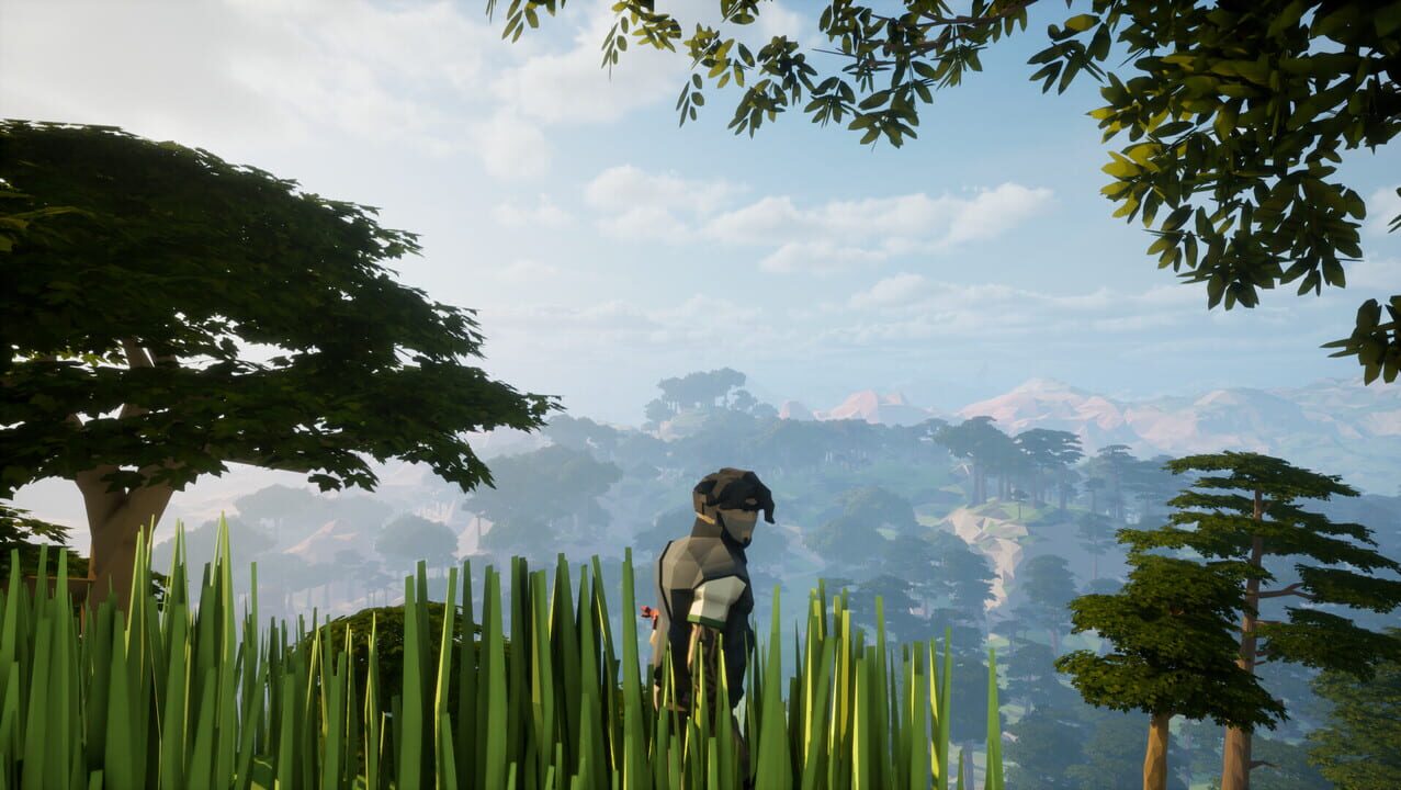 Darkfall
