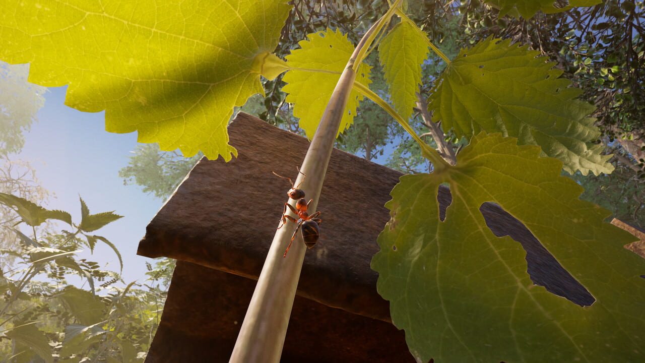 Capture de Empire of the Ants