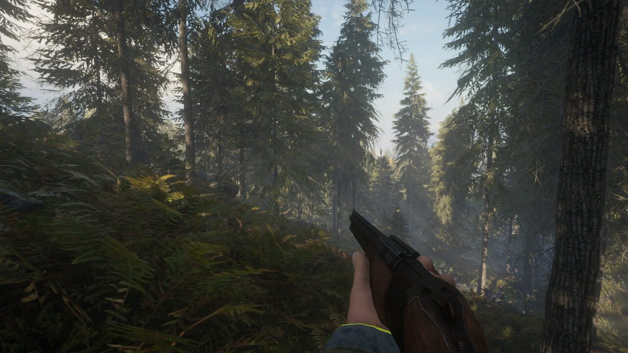 Capture de TheHunter: Call of the Wild