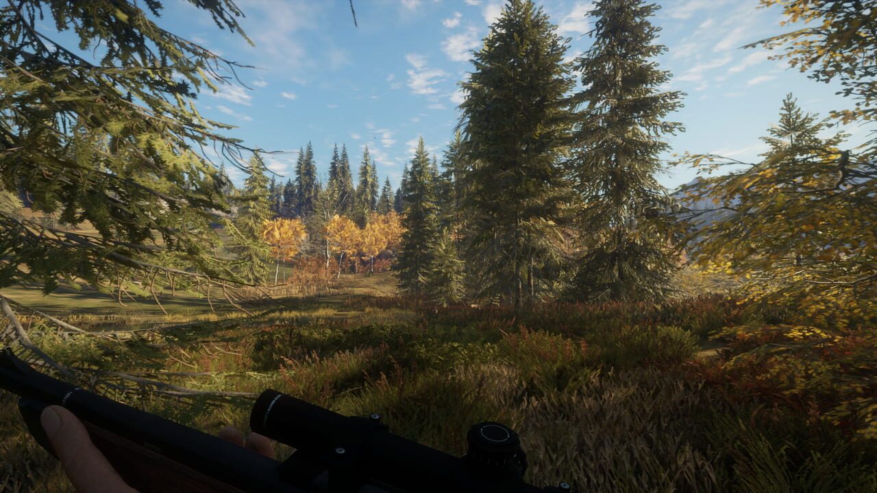 Capture de TheHunter: Call of the Wild