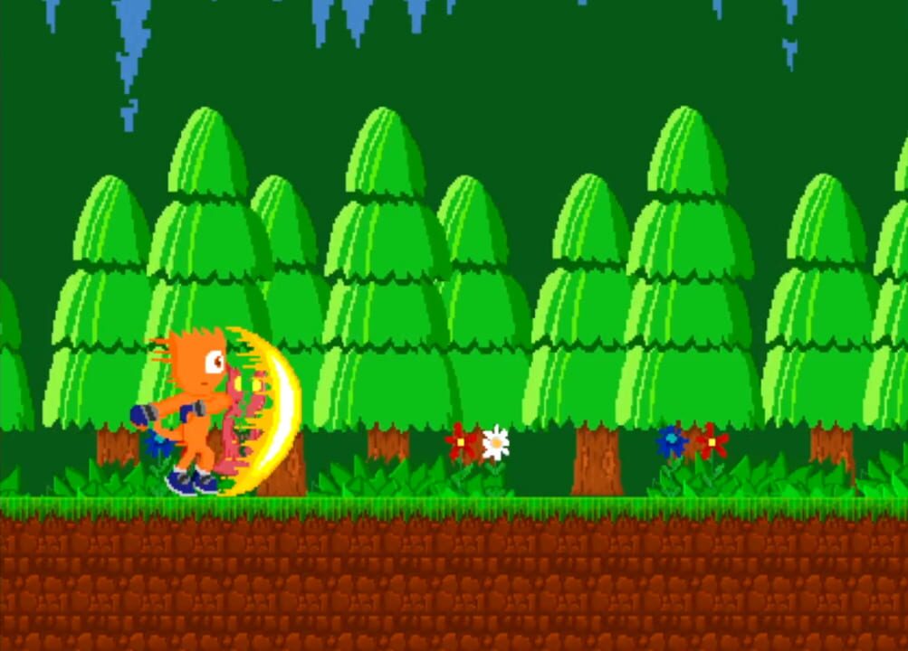 Zafe's Adventures