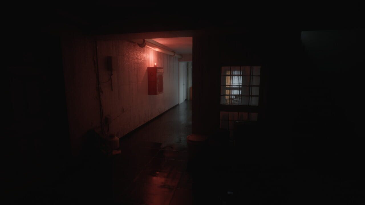 The Vanished Soul