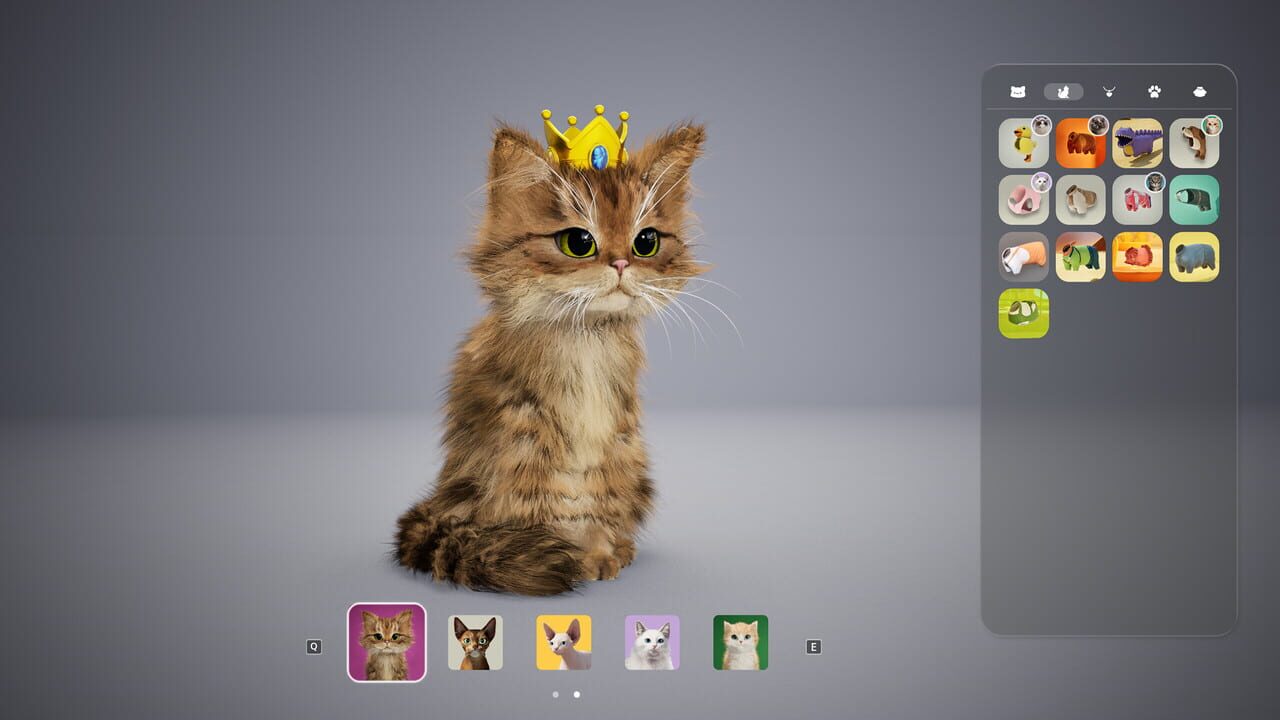 Catly