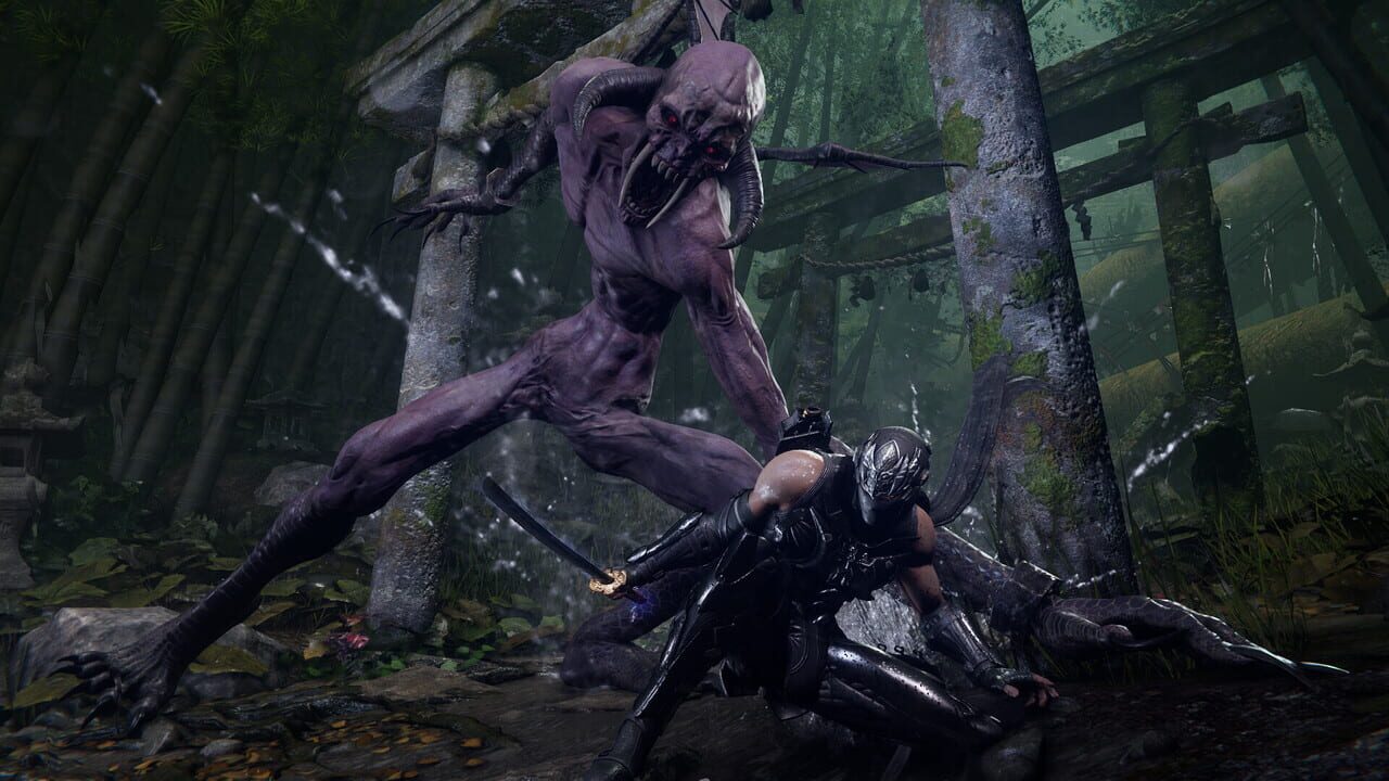 Capture de Ninja Gaiden 4