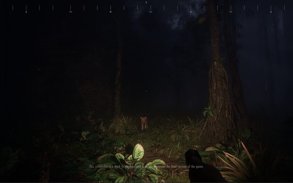 Saci: The Cursed Hunt