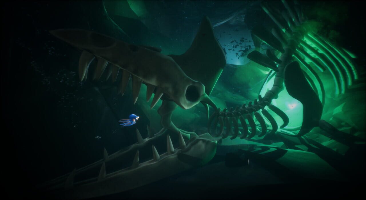 Capture de Darwin's Paradox!