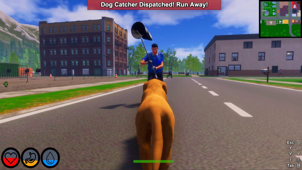 Lost Paws screenshot