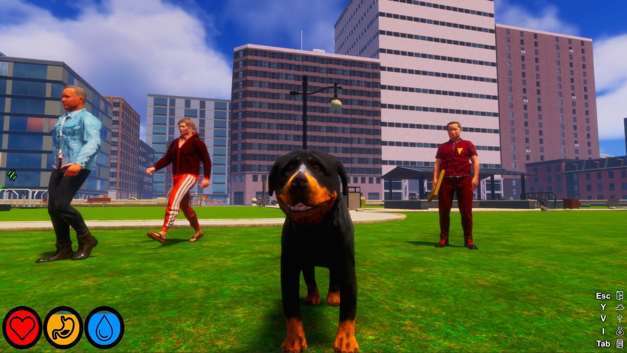 Lost Paws screenshot