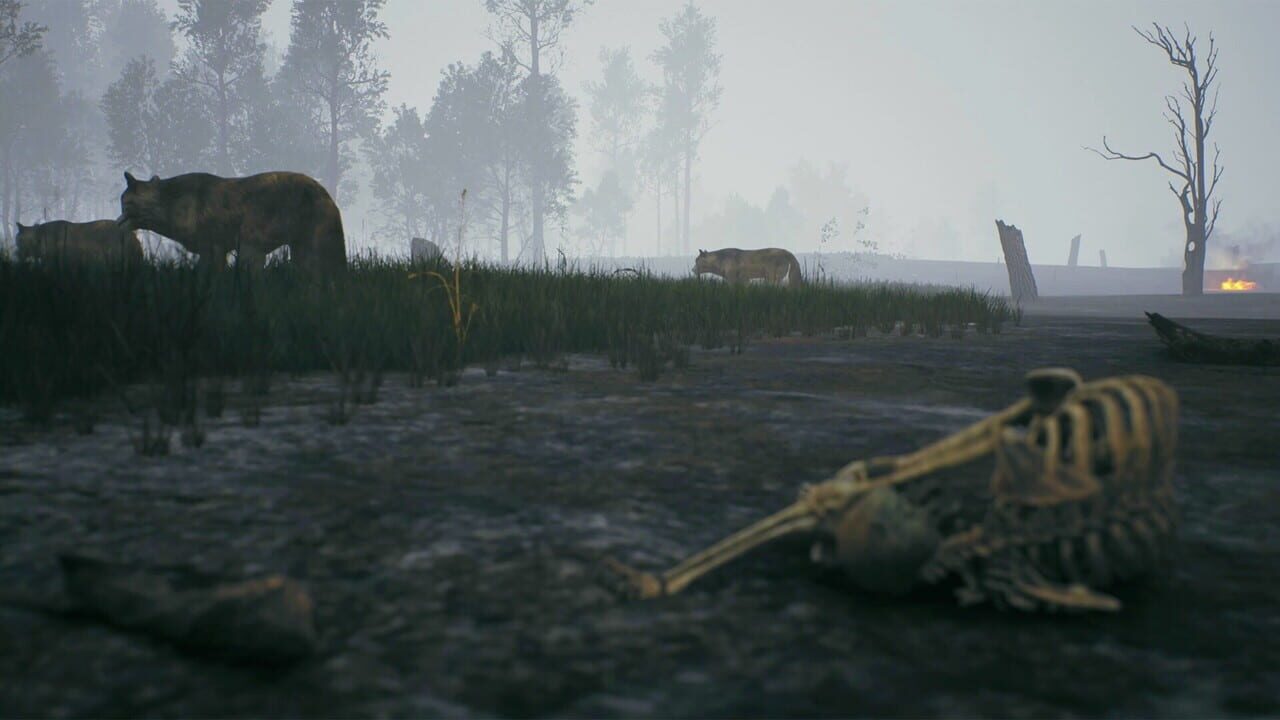 Fire: The First Dreamer screenshot