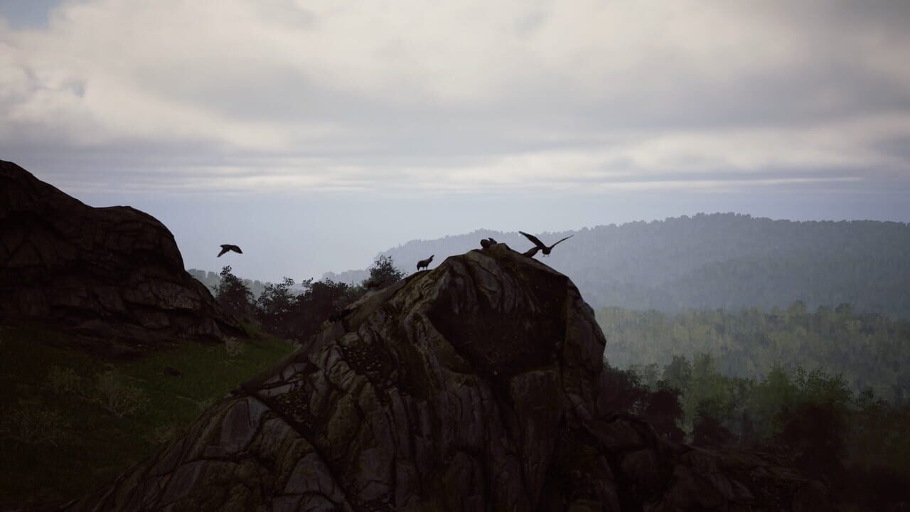 Fire: The First Dreamer screenshot