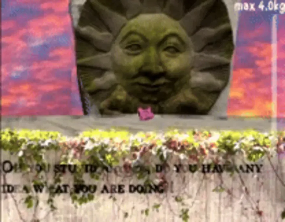Funi Raccoon Game screenshot 1