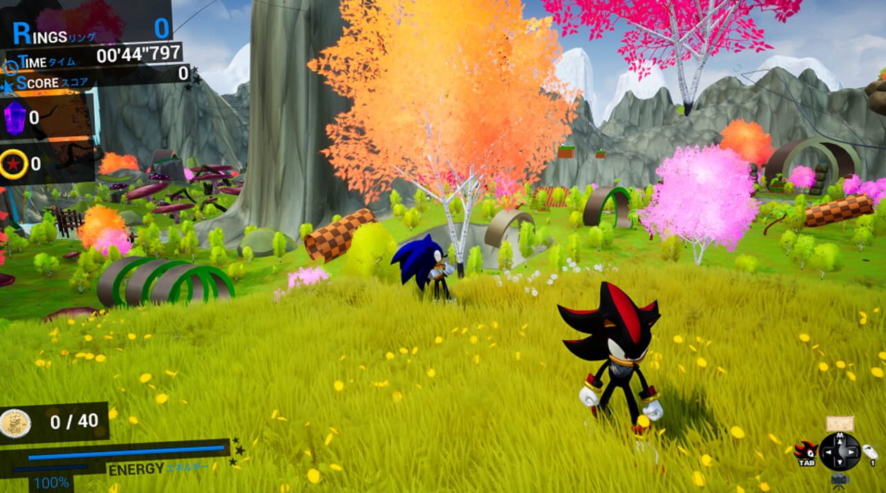 Sonic & Shadow