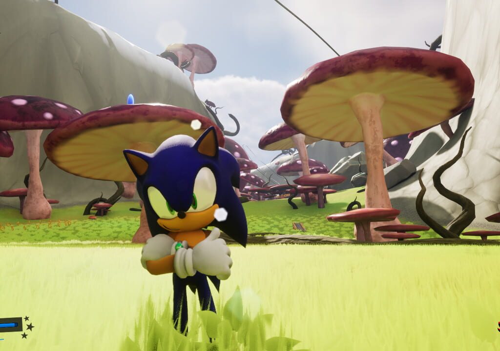 Sonic & Shadow